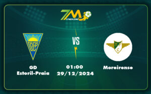 gd estoril praia moreirense 29 12 vdqg bo dao nha - Nhận định và soi kèo GD Estoril-Praia vs Moreirense Cân tài cân sức