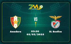 amadora sl benfica 03 02 vdqg bo dao nha - Nhận định soi kèo Amadora vs SL Benfica Đẳng cấp chênh lệch