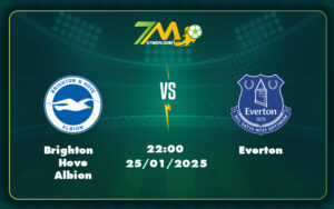 brighton hove albion everton 25 01 ngoai hang anh - Nhận định soi kèo Brighton Hove Albion vs Everton Niềm vui cho đội khách