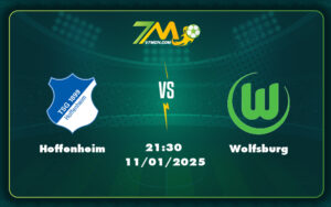 hoffenheim wolfsburg 11 01 bundesliga - Hoffenheim vs Wolfsburg Cuộc chiến quan trọng tại Bundesliga