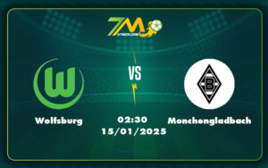 wolfsburg monchengladbach 15 01 bundesliga - Nhận định trận đấu Wolfsburg vs Monchengladbach Cuộc chạm trán cân tài cân sức