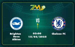 brighton hove albion chelsea fc 15 02 ngoai hang anh - Brighton Hove Albion vs Chelsea FC Phân tích chuyên sâu và dự đoán kết quả